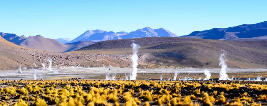 4 TOUR IN ATACAMA IN 3 DAYS - Cejar Lagoon and the saltwater afternoon