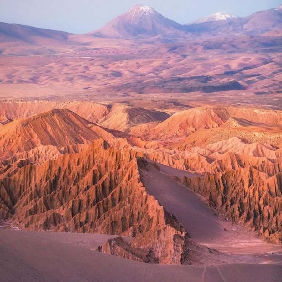 5 Fantastic Tours in the Atacama Desert in 3 Days - Floating in Cejar Lagoon