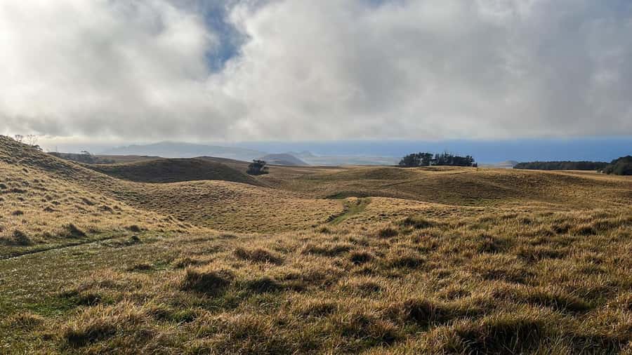 Adventures in Rapa Nui: High-quality tourism with Easter Island Your Tour. - Starting with hotel pickup and a comfortable vehicle