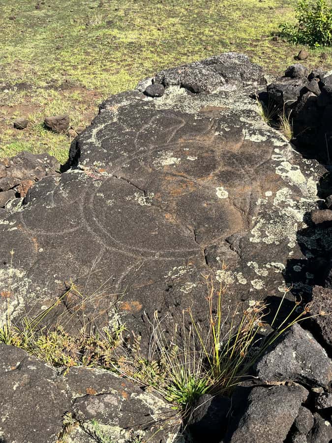 Adventures in Rapa Nui: High-quality tourism with Easter Island Your Tour. - Ahu Te Pito Kura and a different side of the moai story