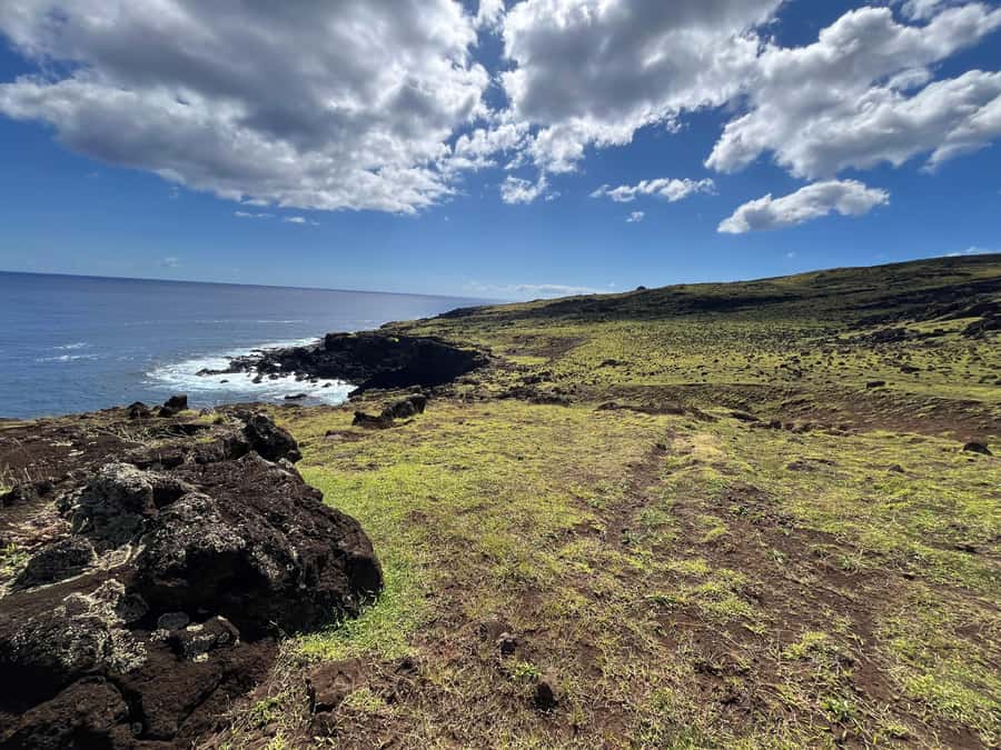 Adventures in Rapa Nui: High-quality tourism with Easter Island Your Tour. - Anakena, a coastal finish to the day