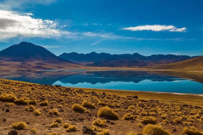 Altiplanic Lagoons & Piedras Rojas Tour from San Pedro de Atacama - A Long Day Across the Atacama’s High Country