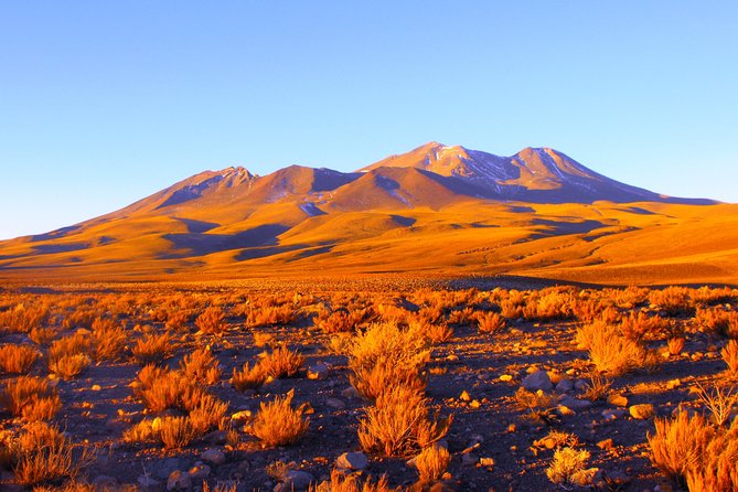 Altiplanic Lagoons & Piedras Rojas Tour from San Pedro de Atacama - Preparing for Thin Air, Sun, and Wind