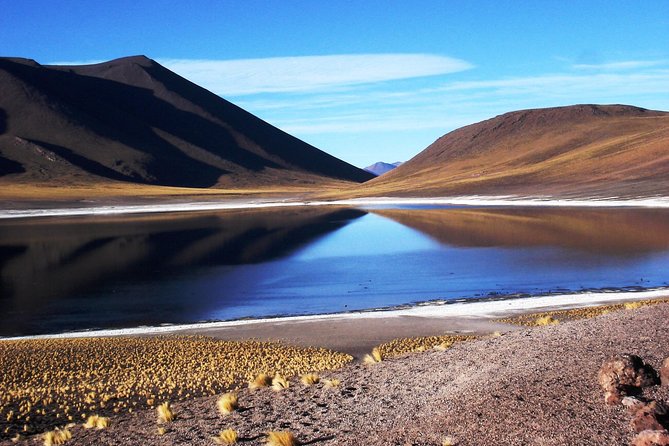 Altiplanic Lagoons & Piedras Rojas Tour from San Pedro de Atacama - Should You Book This Atacama Day Trip?
