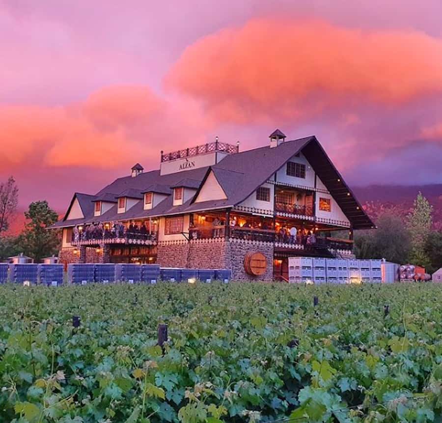 Alyan Family sunset winery - The deck is the evening’s main event