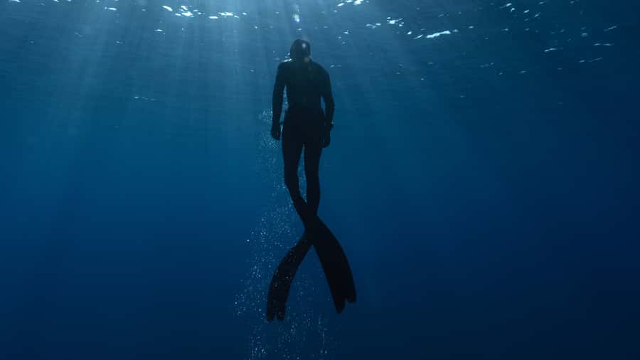 Ancestral fishing: Fishing with an experienced Rapa Nui - Language and communication matter