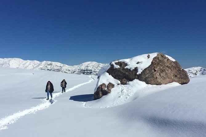 Andean Tour - Why this half-day Andes trip works from Santiago