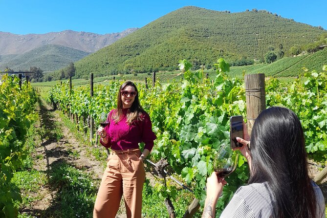 Andes Portillo & Aconcagua wine tour semi private - From Santiago to the high Andes in one day