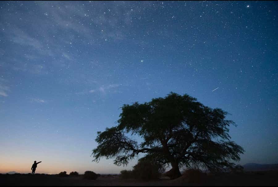 Antofagasta: Astronomical Tour with a Guide - Booking advice for a smooth evening