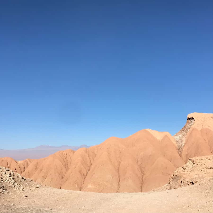 Atacama Desert and Magic Bus Visit - Value, timing, and booking flexibility