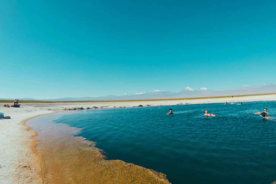Atacama Desert: Floatation in Laguna Cejar and Sunset - Key points to know before you go