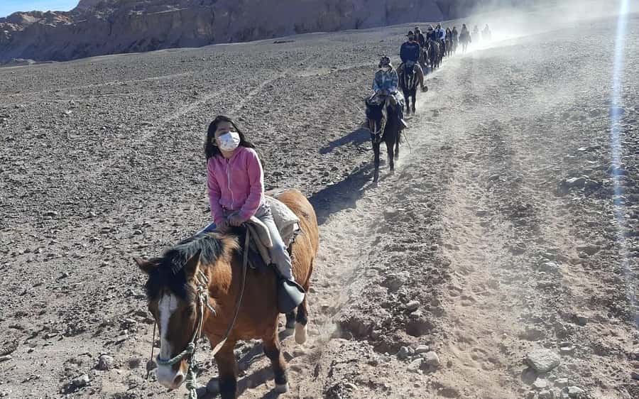 Atacama Desert: Horseback Adventure with Scenic Views - Who will enjoy this ride most