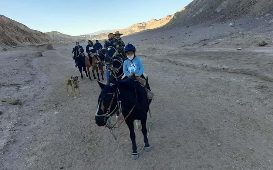 Atacama Desert: Horseback Adventure with Scenic Views - Should you book this Atacama horseback adventure?
