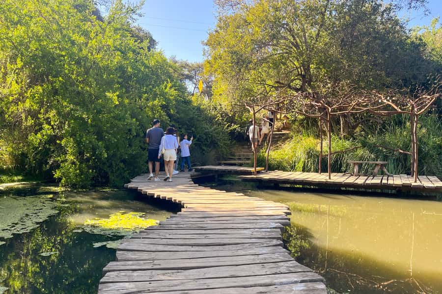 Aviary & Tricao Park Tour with Undurraga Wine Tasting - Understanding the long coach transfers