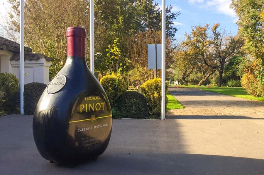 Aviary & Tricao Park Tour with Undurraga Wine Tasting - Who should book this day?