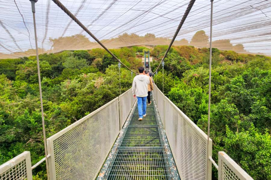 Aviary & Tricao Park Tour with Undurraga Wine Tasting - A snack-style brunch, not a full lunch