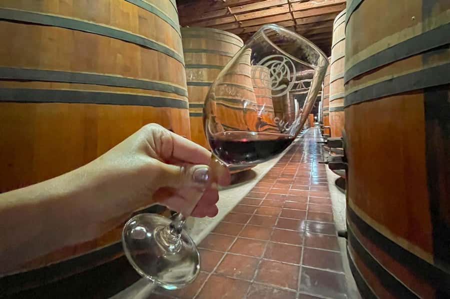 Bahá'i Temple and Cousiño Macul Vineyard - A 20-minute transfer to a very different setting