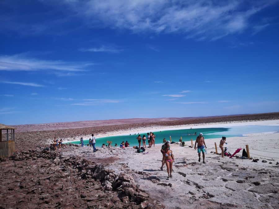 Baltinache Lagoons PM - Seven pools in the Atacama Desert