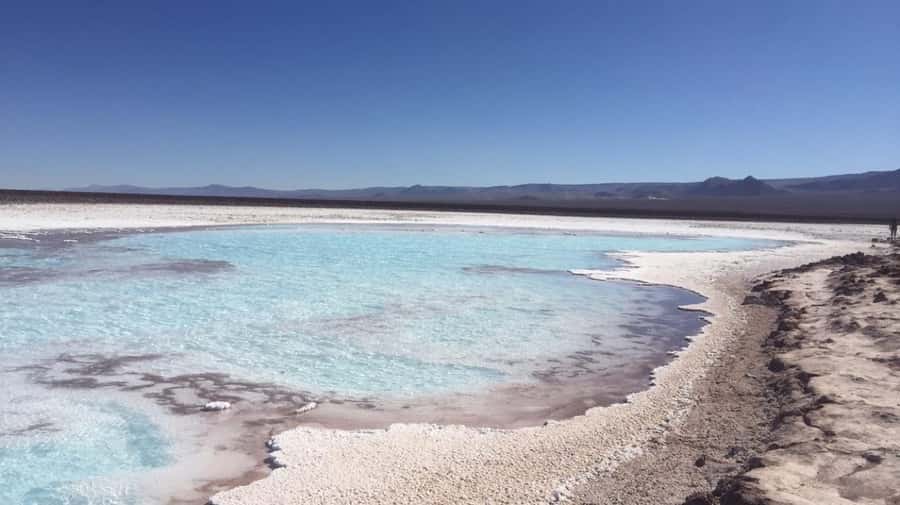 Baltinache Lagoons PM - A five-hour outing with a useful rhythm