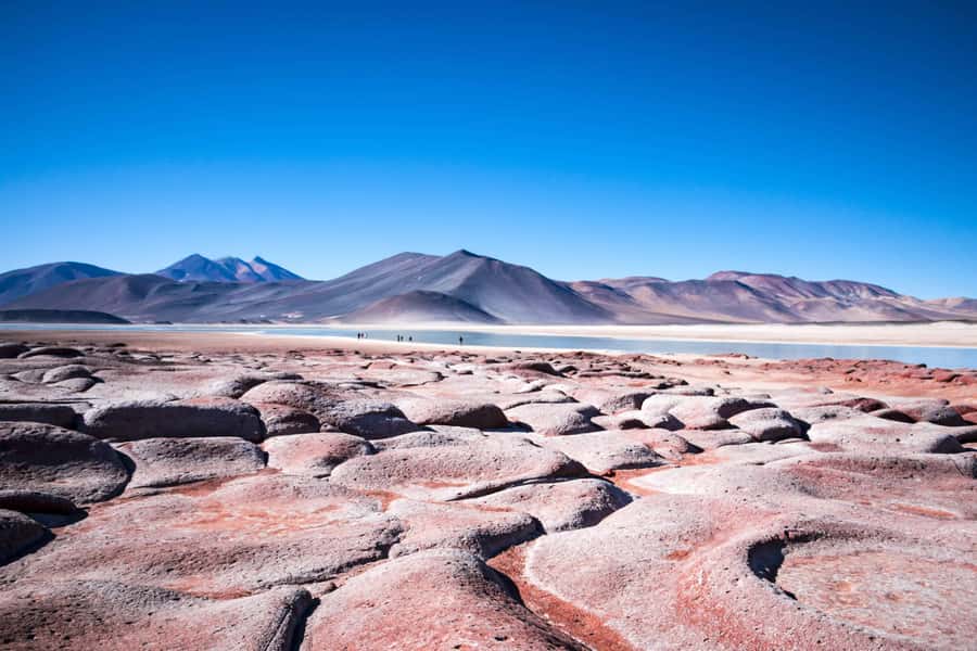 Caracoles: Red Stones of Atacama and Chaxa Guided Day Trip - Key points to know before booking