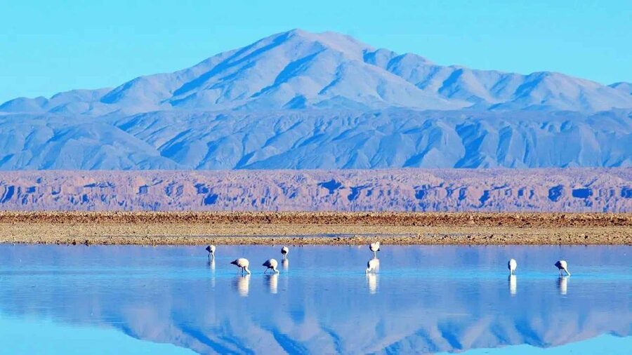 Caracoles: Red Stones of Atacama and Chaxa Guided Day Trip - Breakfast and lunch in the high desert