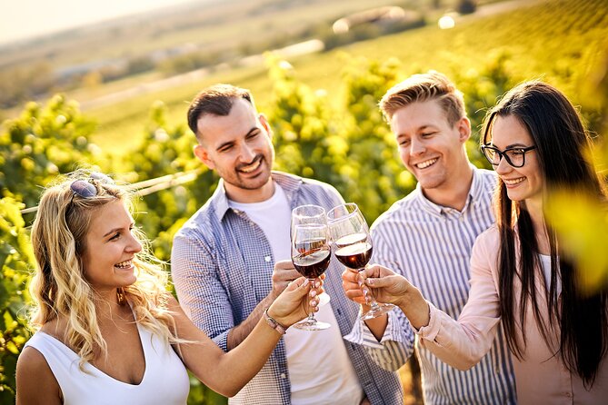 Casablanca world class wines, 4 vineyards & Tanino lunch stop - Key points to know before booking