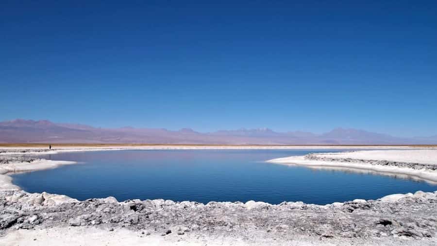 Cejar Lagoon, Tebenquiche Lagoon and Ojos del Salar - Ojos del Salar brings underground water into view