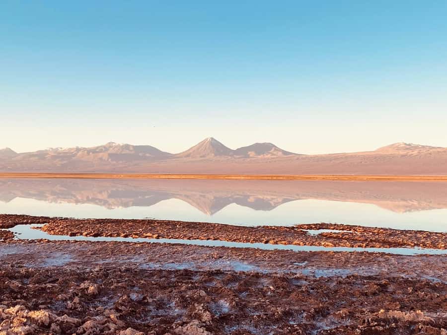 Cejar Lagoon Tour: San Pedro de Atacama - Why Cejar Lagoon is the star of the afternoon