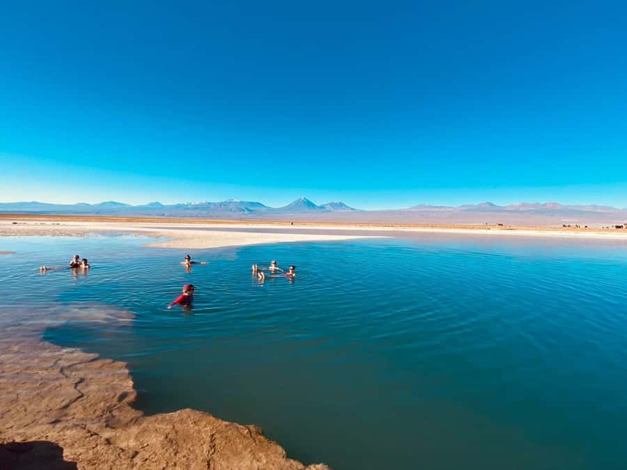 Cejar Lagoon Tour: San Pedro de Atacama - From San Pedro to the salt basin