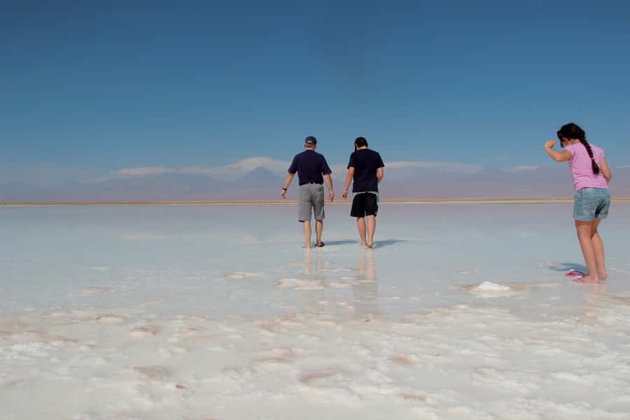 Cejar & Tebenquiche Lagoons Tour with Ojos del Salar Atacama - Key points to know before you book