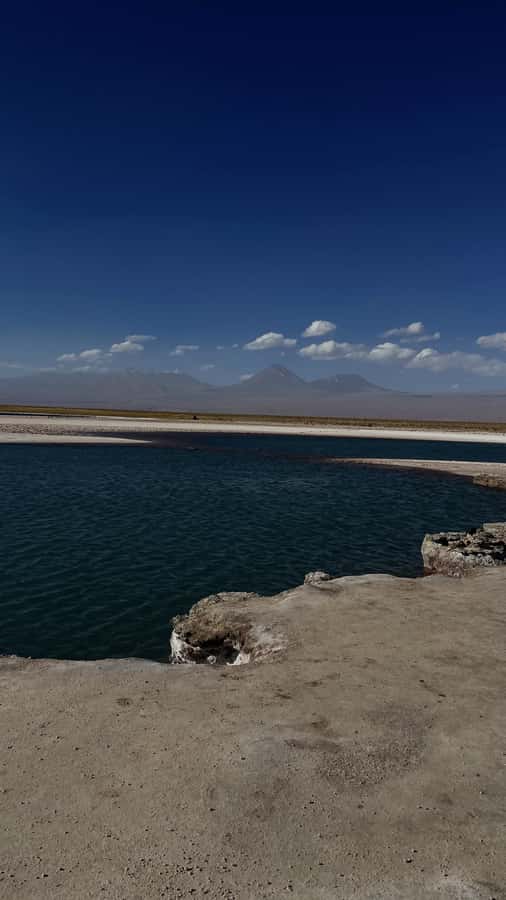 Cejar & Tebenquiche Lagoons Tour with Ojos del Salar Atacama - A five-hour route through the Atacama Salt Flat