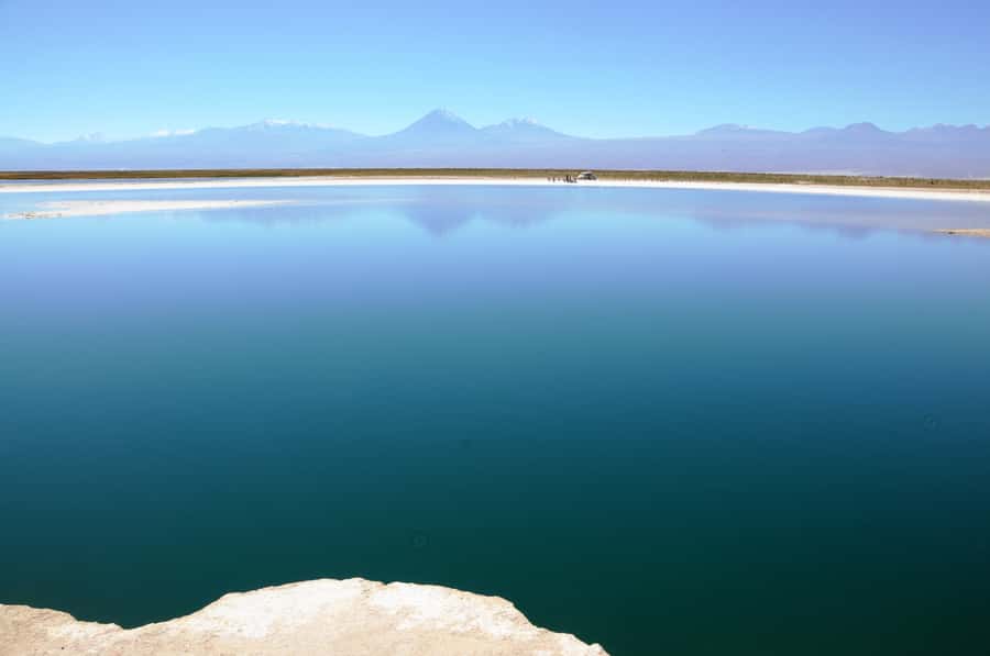 Cejar & Tebenquiche Lagoons Tour with Ojos del Salar Atacama - Cejar Lagoon, salt crystals, and bird life
