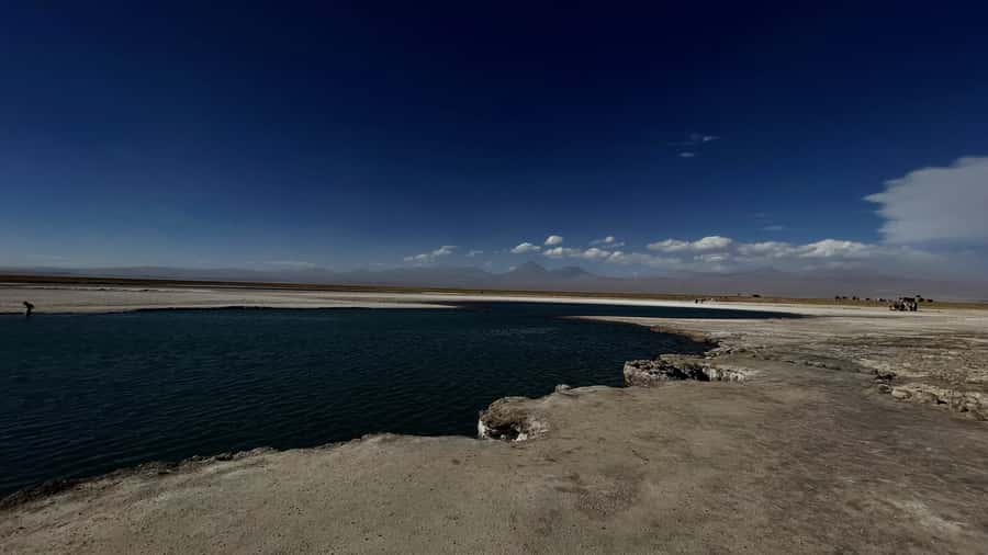 Cejar & Tebenquiche Lagoons Tour with Ojos del Salar Atacama - Tebenquiche Lagoon and the walking circuit