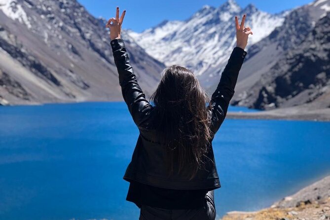 Chilean Alpes: Portillo & the Inca Lagoon - Who will enjoy this Andes day trip?