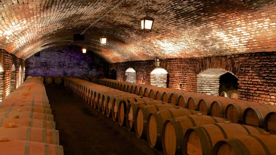 Concha y Toro Wine Tour with Dinner at the Winery - Walking through the winery and old grounds