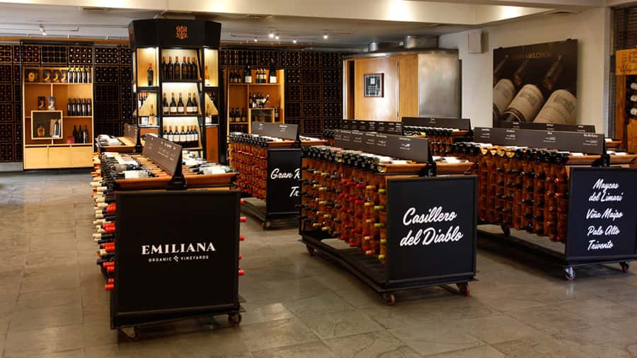 Concha y Toro Wine Tour with Dinner at the Winery - Pickup from Santiago and the six-hour schedule