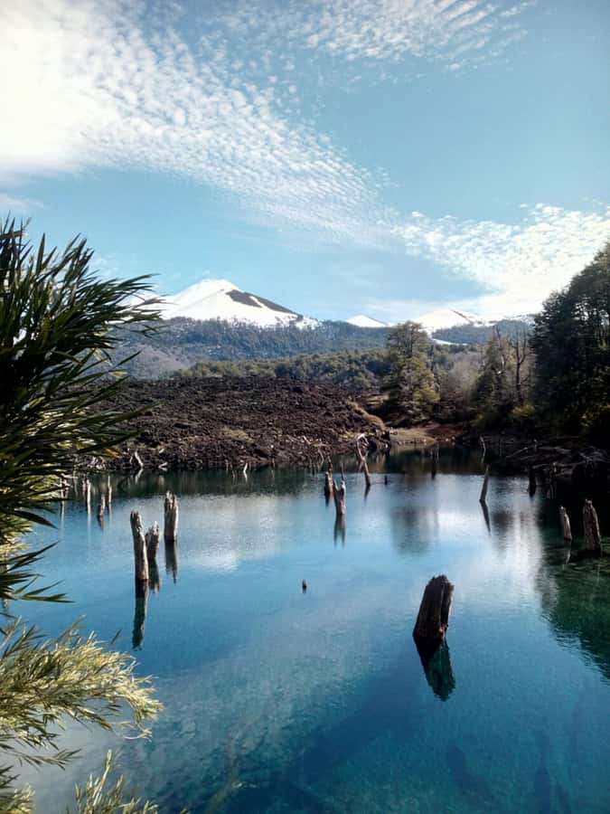 Conguillío National Park Tour, Full day - Rainbow Lagoon and the araucaria trees