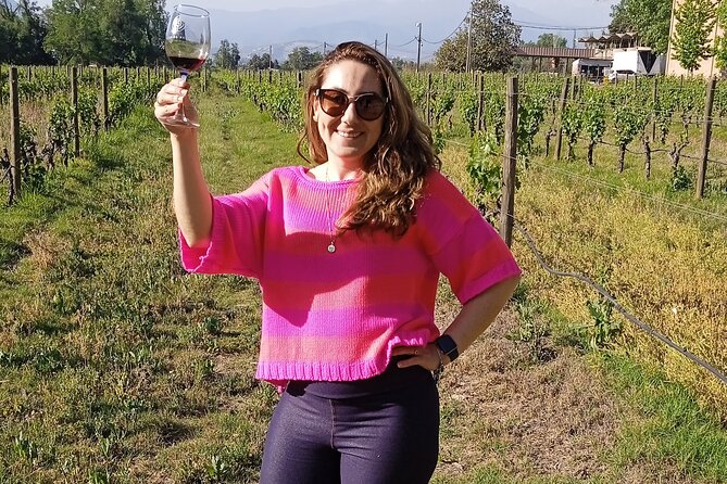 Cousiño Macul Vineyard - Maipo Valley - Premium Tasting - HD - Entering the Cousiño Macul Estate