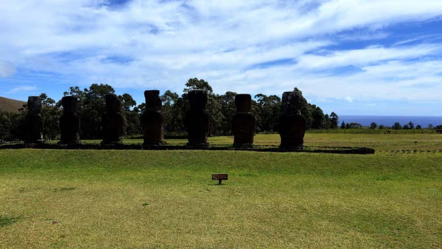 Easter Island: Half-Day Archaeology Tour - The real price: $191 with the park fee