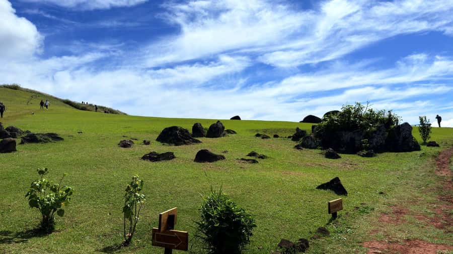 Easter Island: Half-Day Archaeology Tour - Useful booking details before you go