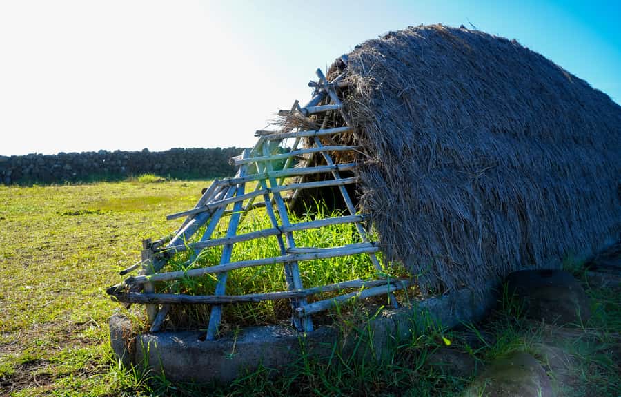 Easter Island: Moai Full Day Private Tour - One Makihi, a lesser-seen stop before Tongariki