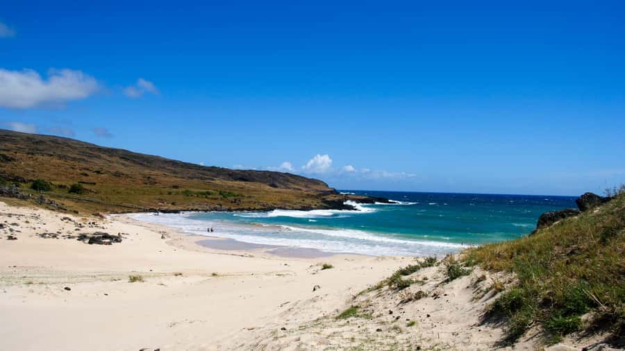 Easter Island: Private Full Day History Of The Moai - Guide quality and the value of a private group