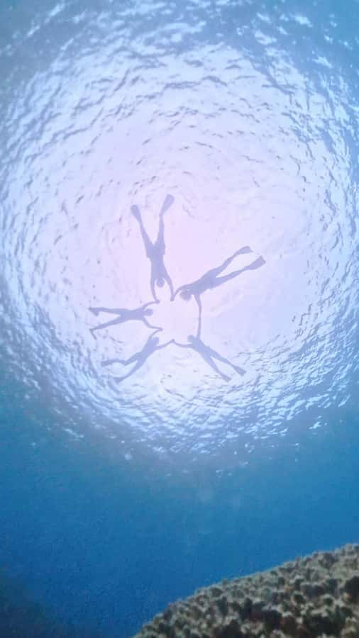 Easter island: Snorqueling tour on coral reefs - Seeing Rapa Nui from below the surface