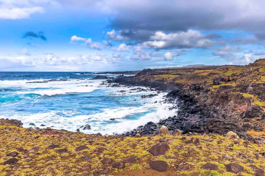 Easter Island: The Moai Trail Private Archeological Tour - What the $200 price really covers