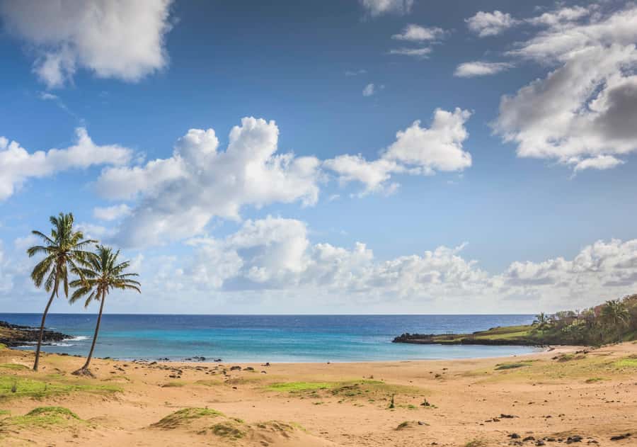 Easter Island: The Moai Trail Private Archeological Tour - Who should book this archaeological day