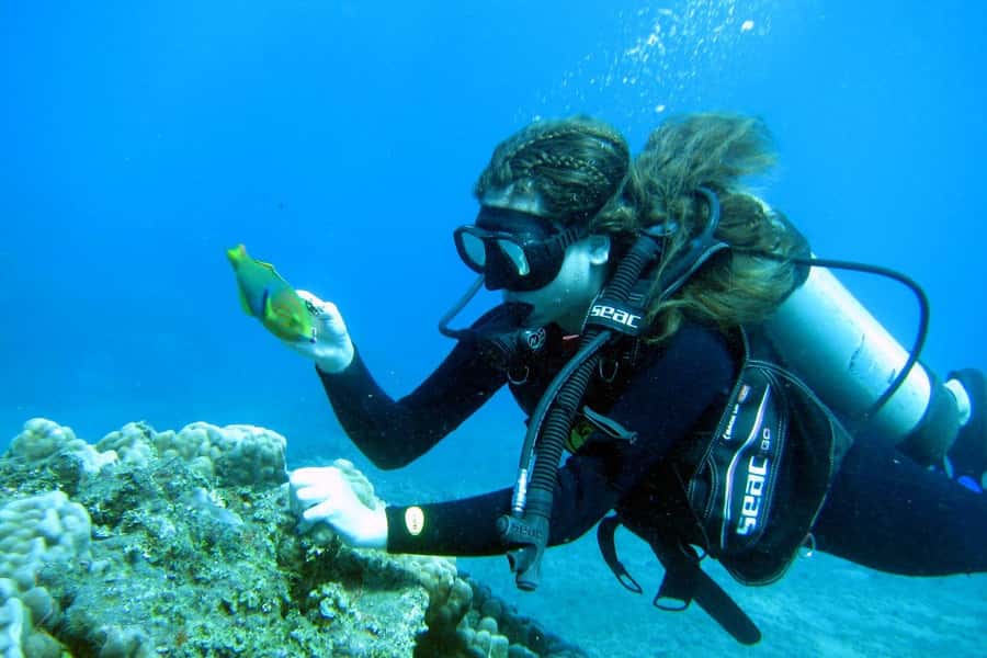 Easter Island: Tropical Diving - Key points to know before booking