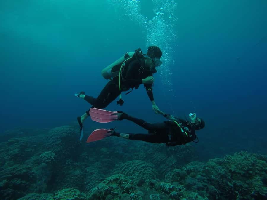 Easter Island: Tropical Diving - What Rapa Nui looks like below the surface