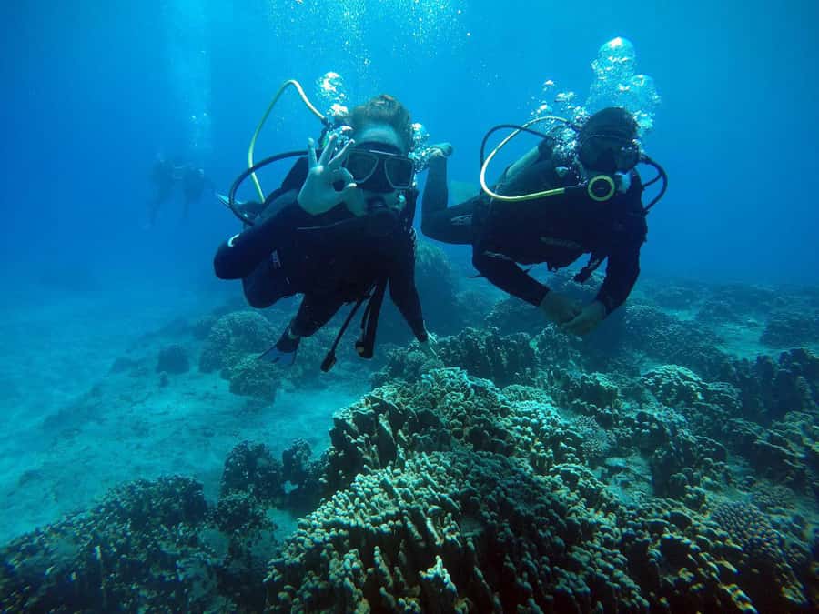 Easter Island: Tropical Diving - The transfer depends on the sea