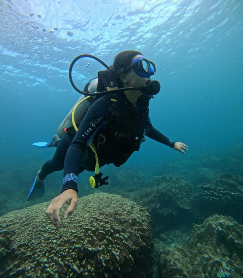 Easter Island: Tropical Diving - Who will get the most from this outing