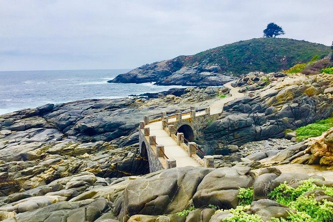 Fr STGO: WILD PENGUINS, SEALION, SANDBOARD, PARAGLIDING & PICNIC - Sea lions, fishing areas, and the road north from Valparaíso